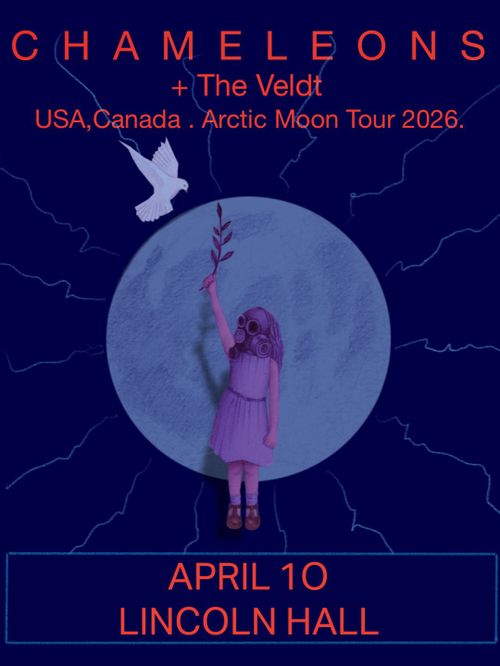 Chameleons, The Veldt